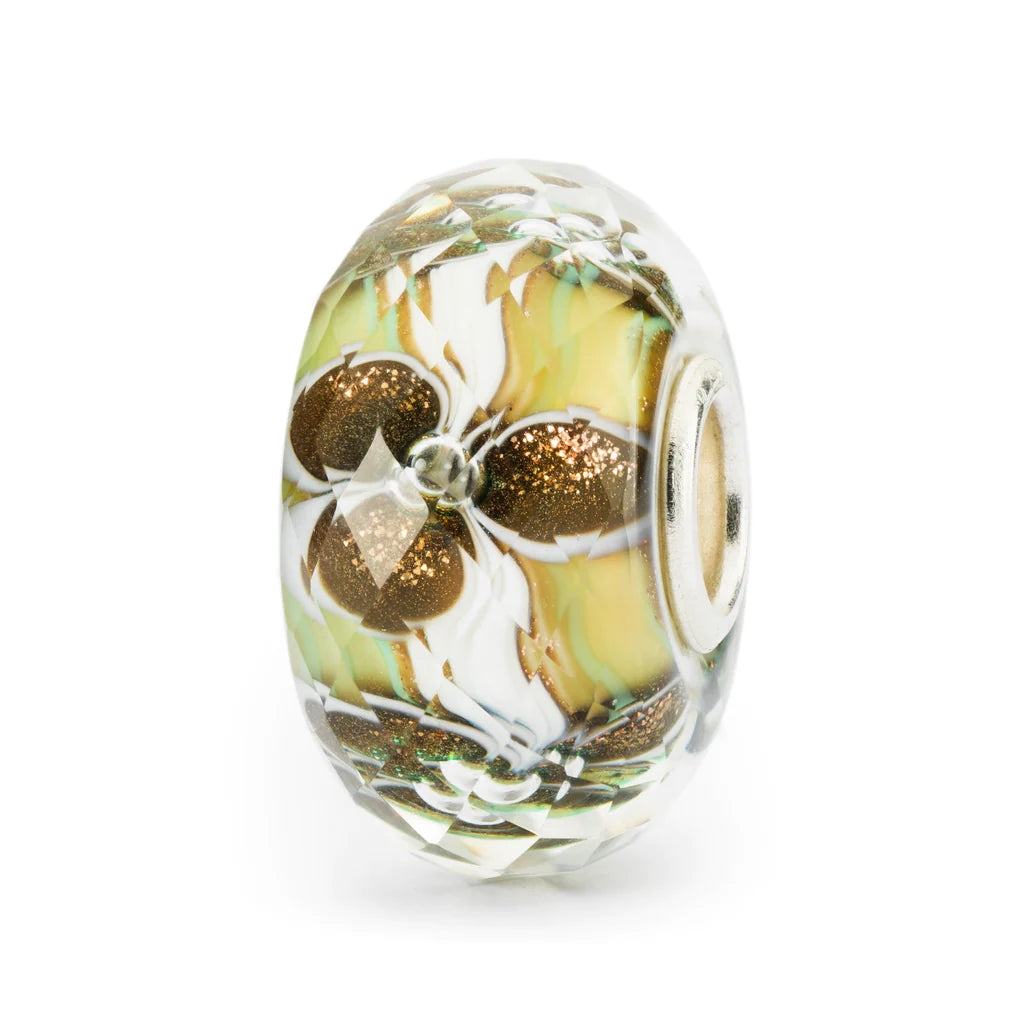 Fiore del perdono