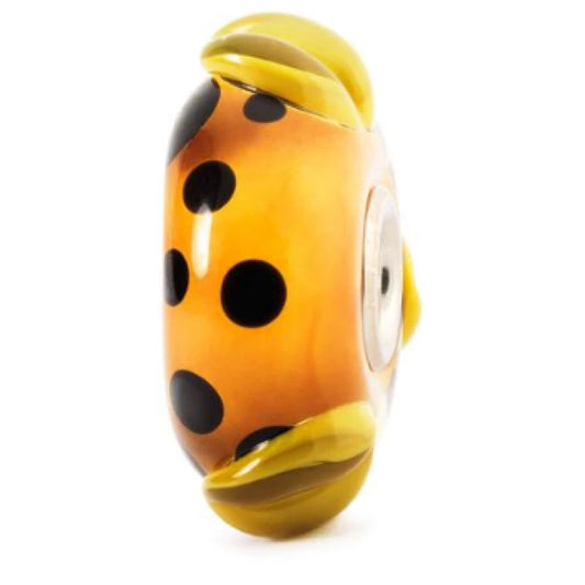 Baccello Arancione